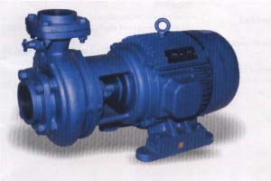 monoblock_process_pumps